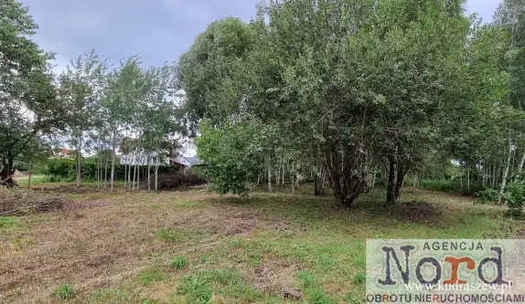 Augustów ,  Ślepsk   3