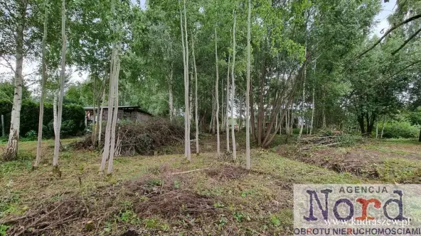 Augustów ,  Ślepsk   4