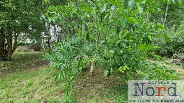 Augustów ,  Ślepsk   5