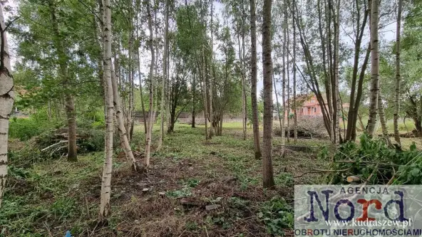 Augustów ,  Ślepsk   9