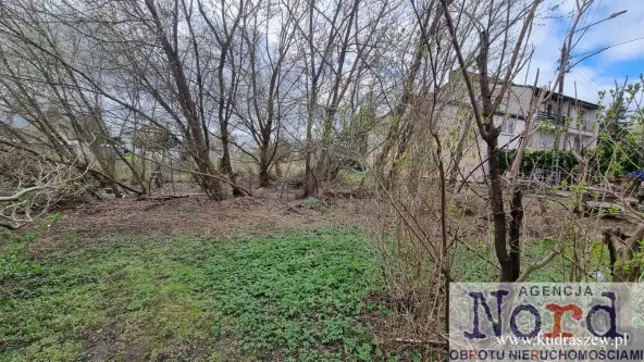  Augustów   Jarzębinowa 