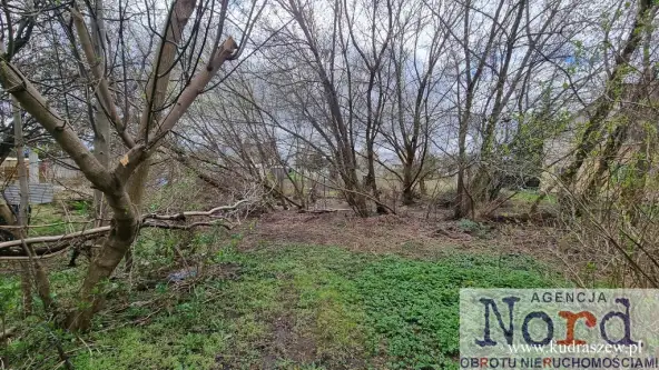 Augustów ,  Jarzębinowa   2