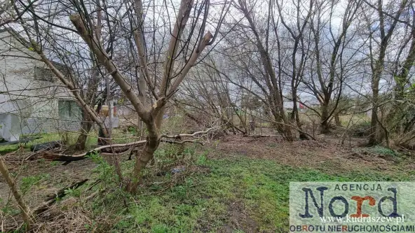 Augustów ,  Jarzębinowa   3