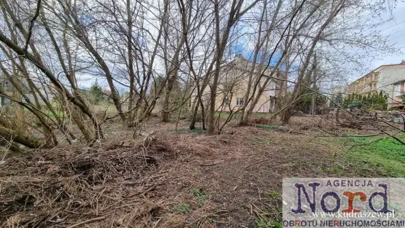 Augustów ,  Jarzębinowa   4