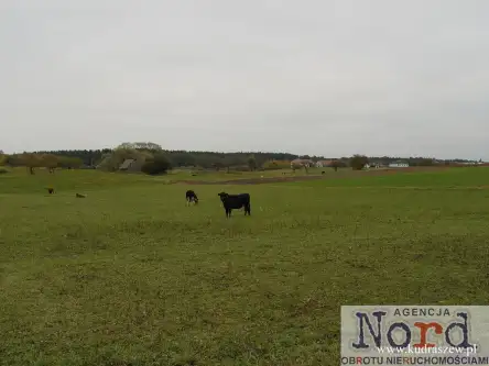  Augustów   Rajgrodzka 