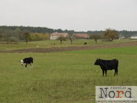 Augustów ,  Rajgrodzka   5