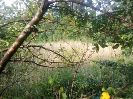 Barłomino ,  Ofiar Stutthofu   10