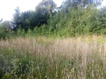 Barłomino ,  Ofiar Stutthofu   11