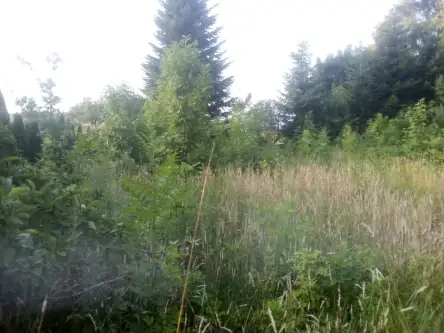 Barłomino ,  Ofiar Stutthofu   12