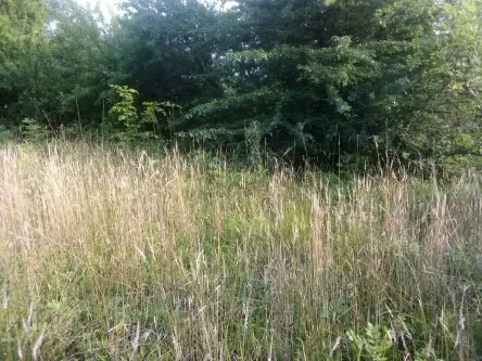 Barłomino ,  Ofiar Stutthofu   13