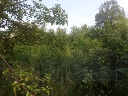 Barłomino ,  Ofiar Stutthofu   14