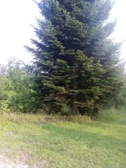 Barłomino ,  Ofiar Stutthofu   5