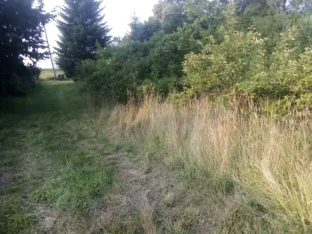 Barłomino ,  Ofiar Stutthofu   8