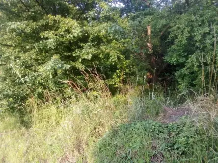 Barłomino ,  Ofiar Stutthofu   9