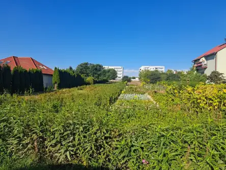  Świdnik   Działkowca 