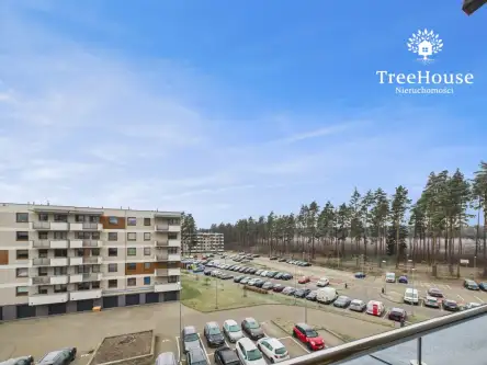 Dywity ,  Franciszka Hynka   15