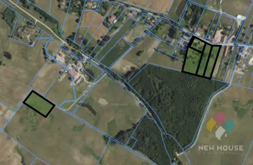 Jurkowo węgorzewskie   15