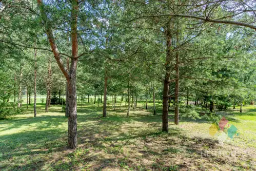 Pasym ,  Jana Pawła II   17