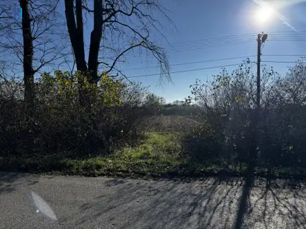 Kolonia łaznów   10