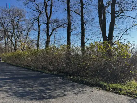 Kolonia łaznów   11