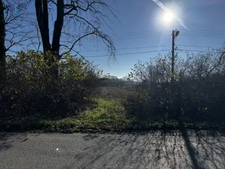 Kolonia łaznów   12