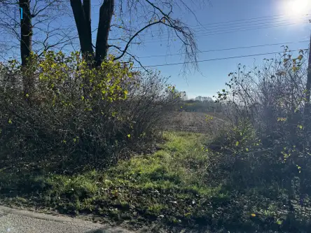 Kolonia łaznów   13