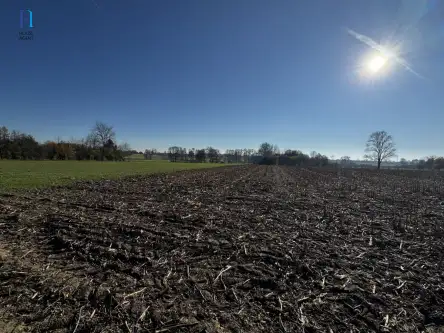 Kolonia łaznów   3