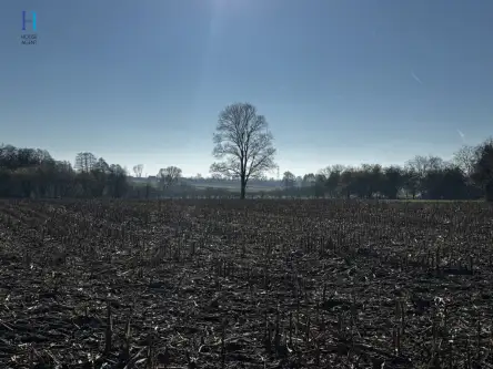 Kolonia łaznów   5