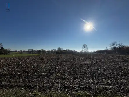 Kolonia łaznów   6