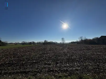 Kolonia łaznów   7