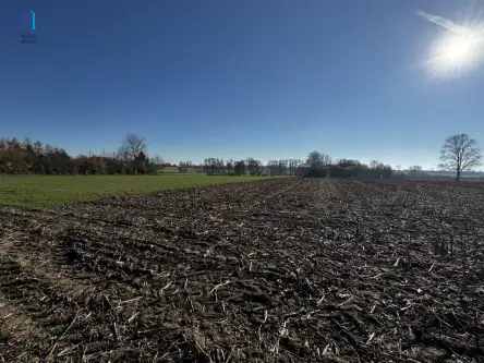 Kolonia łaznów   8