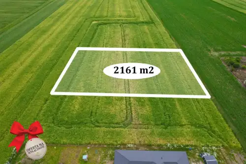  Niedrzwica duża   Graniczna 