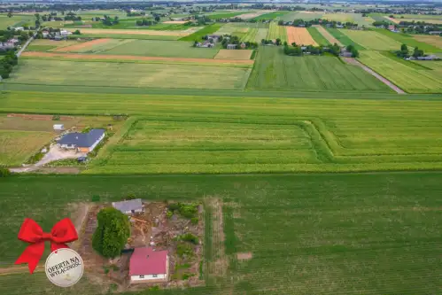 Niedrzwica duża ,  Graniczna   4