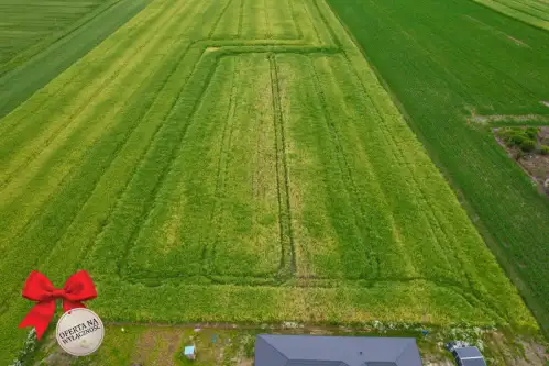 Niedrzwica duża ,  Graniczna   5