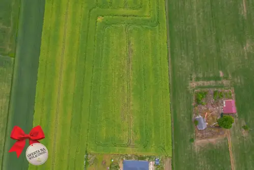 Niedrzwica duża ,  Graniczna   6