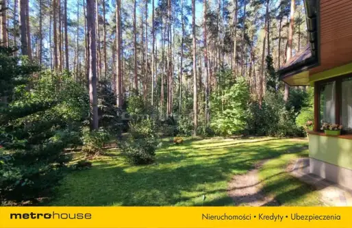 Adamów-wieś ,  Gwiaździsta   4