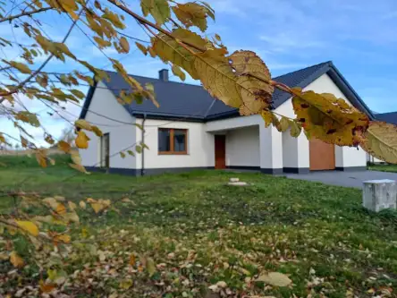 łapino kartuskie ,  Słonecznikowa   3