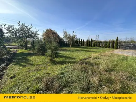 Magnuszew ,  Grzybowska   8