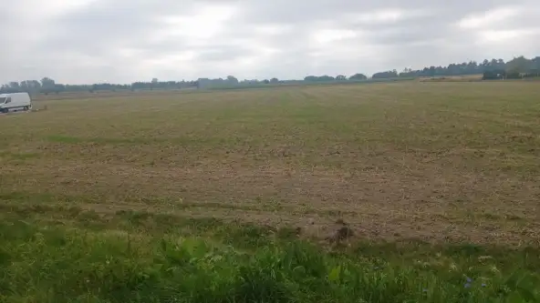 Konstancin-jeziorna   7