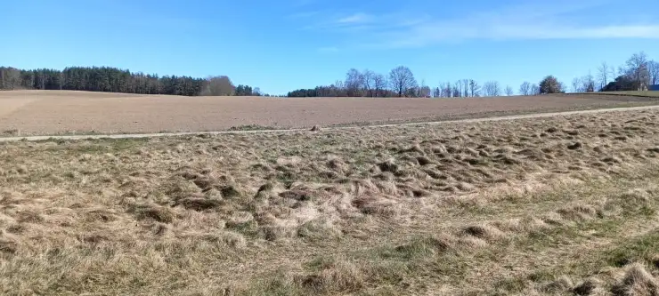 Szemud ,  Moczydła   17