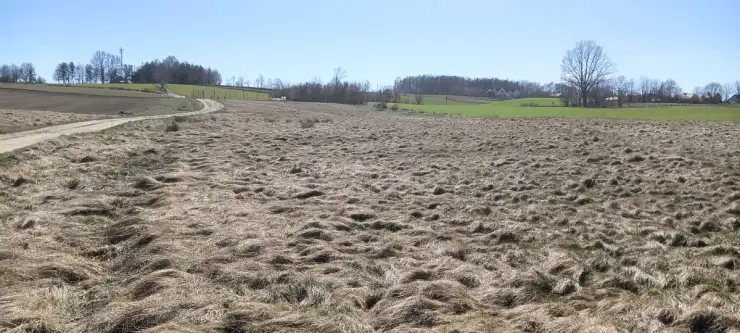 Szemud ,  Moczydła   7