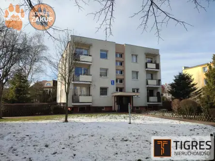 Gdańsk ,  Eugeniusza Kwiatkowskiego   8