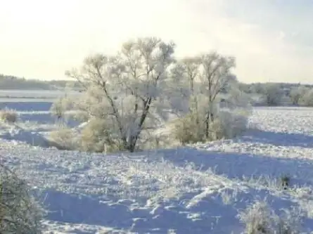 Nowy prażmów ,  Akacjowa   3